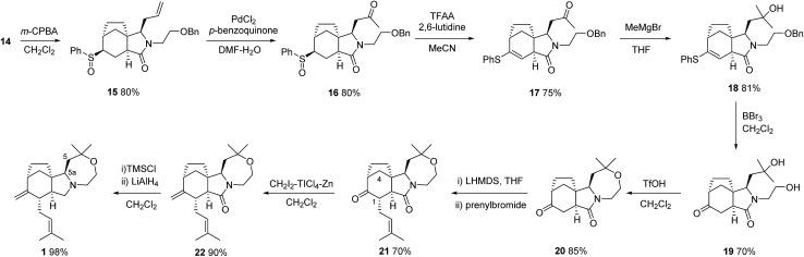 Scheme 3