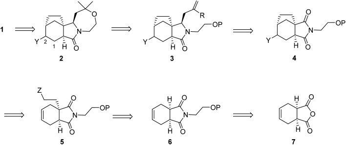 Scheme 1