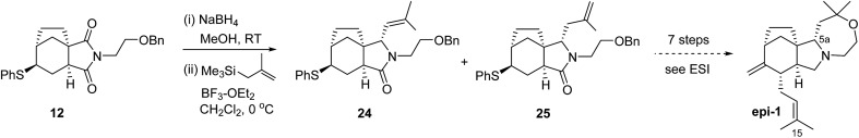 Scheme 4