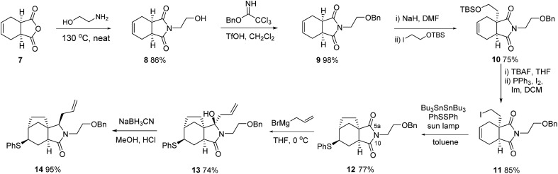 Scheme 2