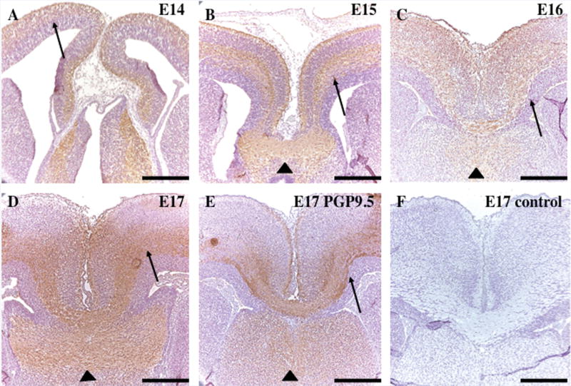 FIG. 5