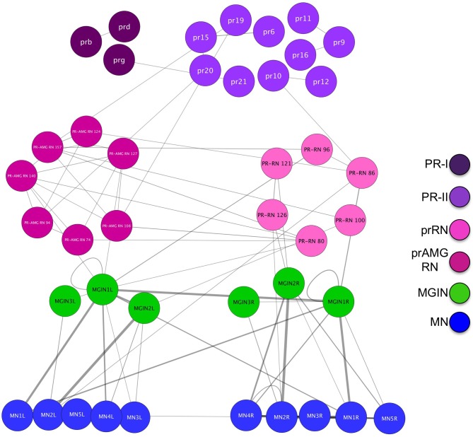 Figure 1—figure supplement 2.