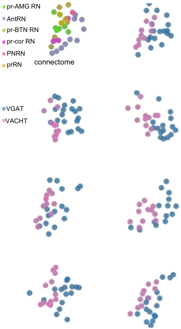 Figure 3—figure supplement 1.