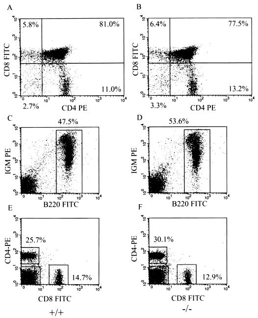 FIG. 7