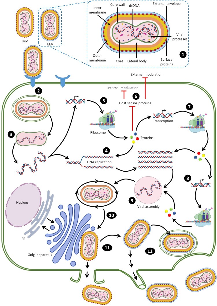 Figure 2.