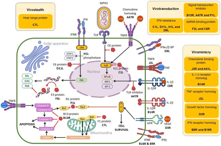 Figure 3.