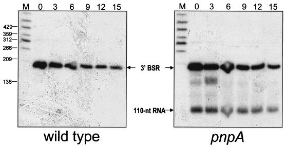 FIG. 8