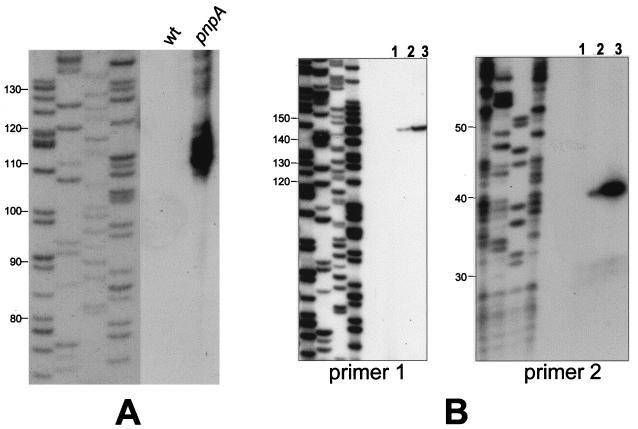 FIG. 7