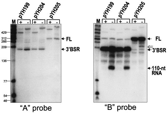 FIG. 6