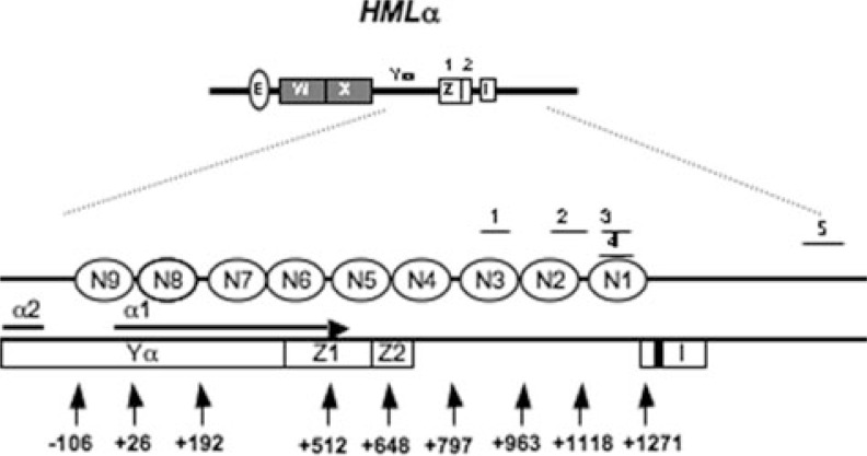 FIGURE 1.