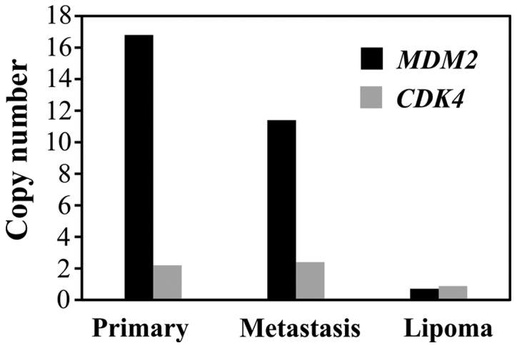 Figure 5