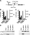 FIG 1