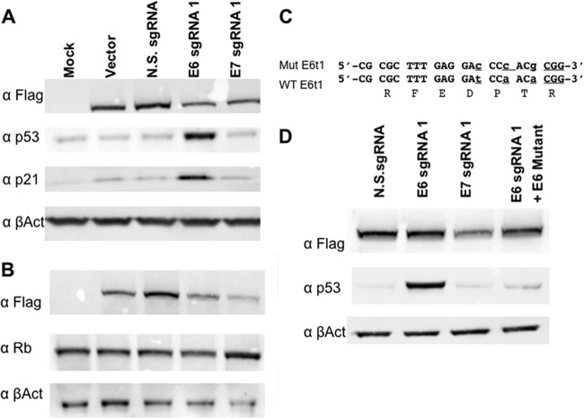 FIG 3