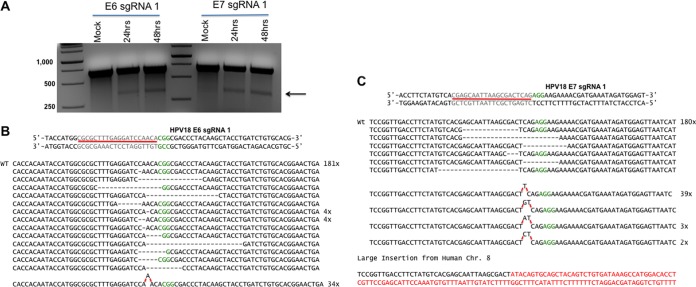 FIG 2