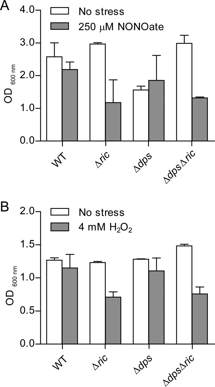 FIG 3