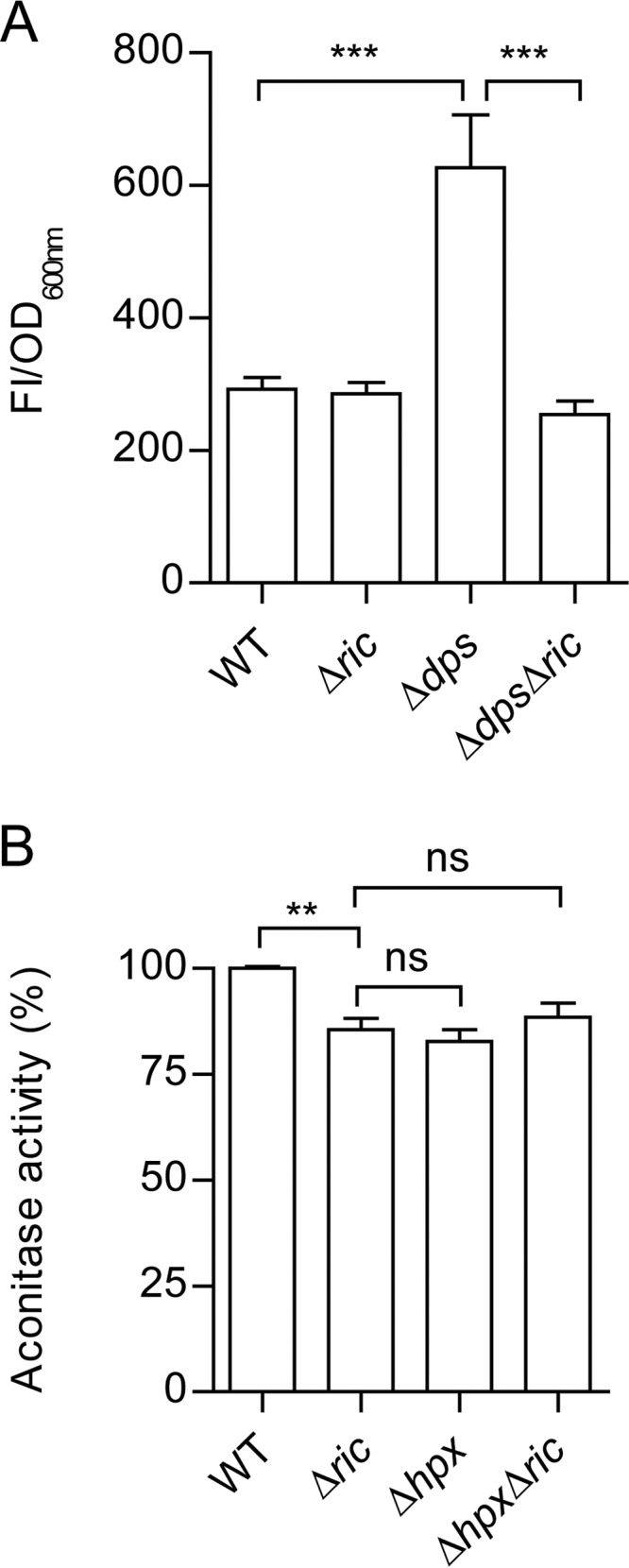 FIG 6