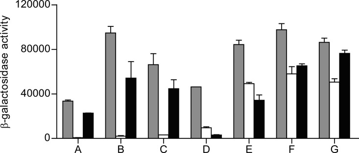 FIG 1