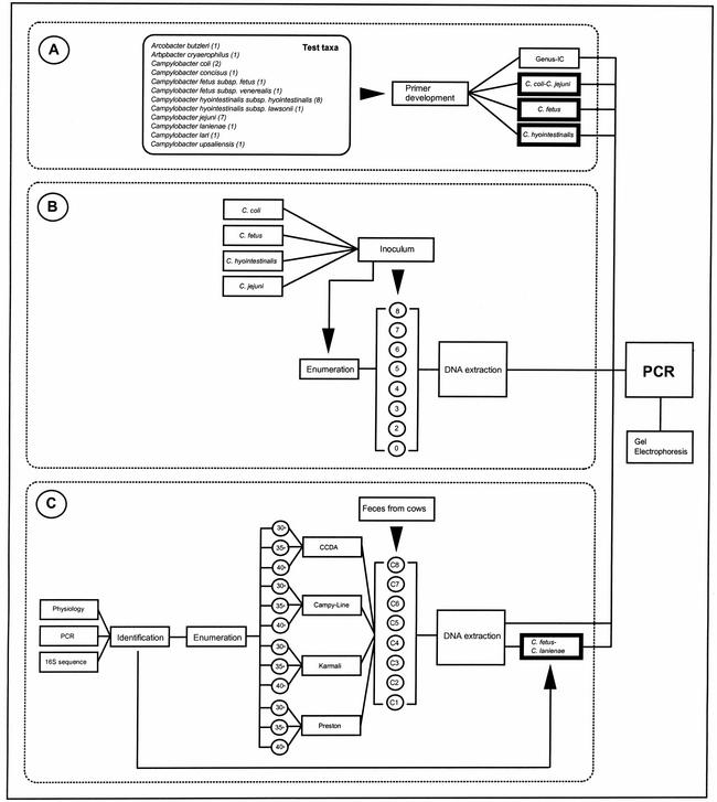 FIG. 1.