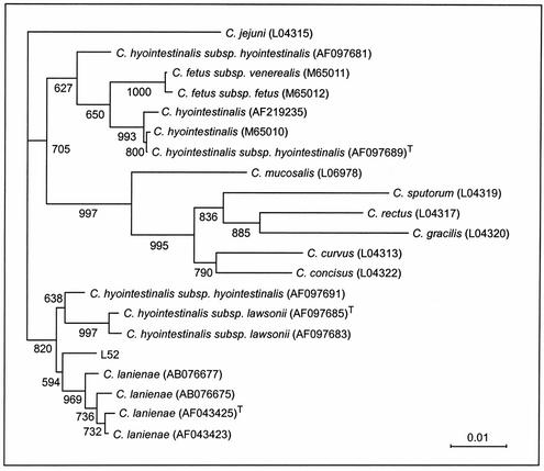 FIG. 6.