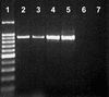 FIG. 5.