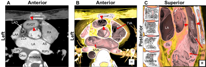 Figure 3.