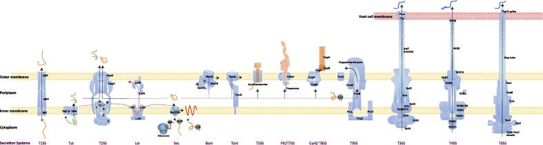 Fig. 2