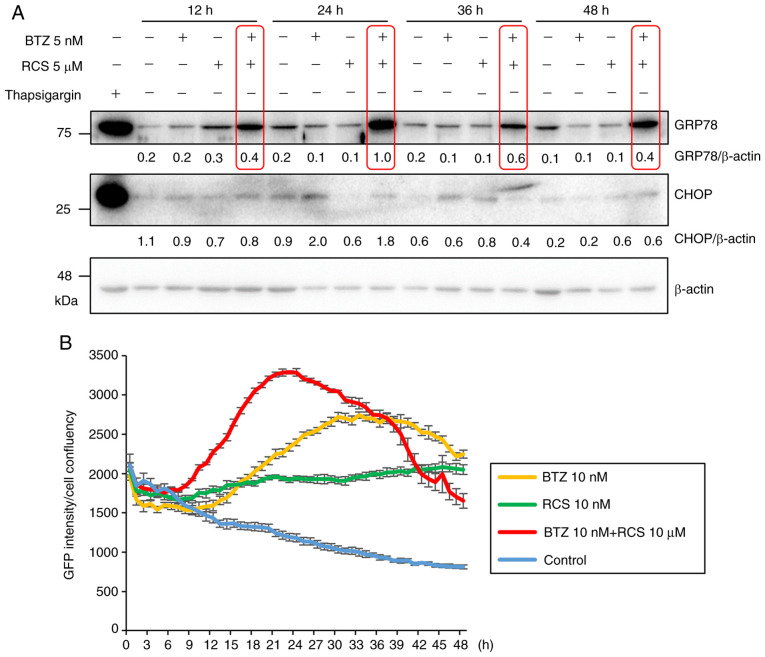 Figure 6.