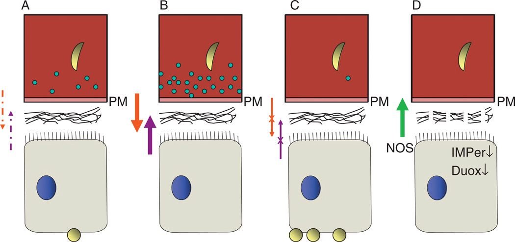 FIG. 4