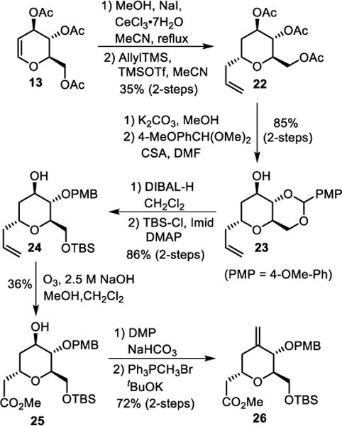 Scheme 4