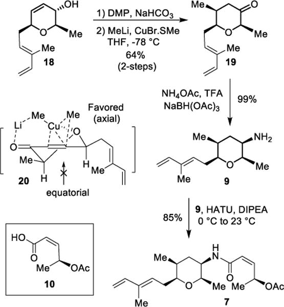 Scheme 3