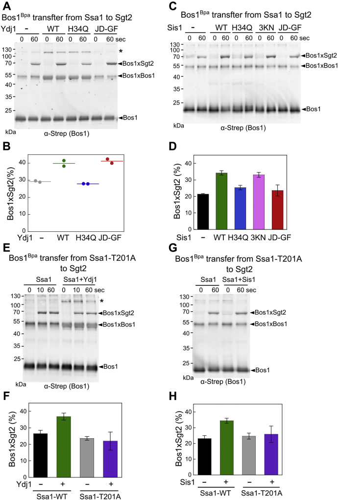 Figure 5