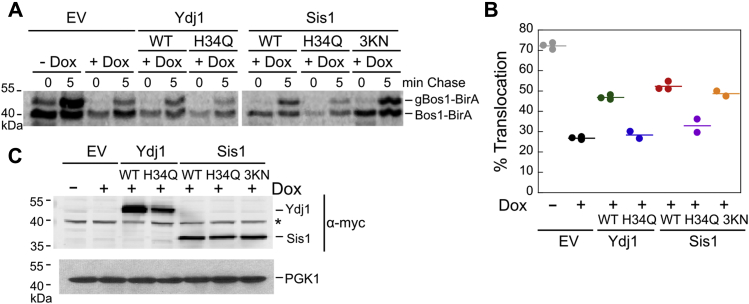 Figure 6