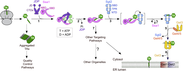 Figure 7