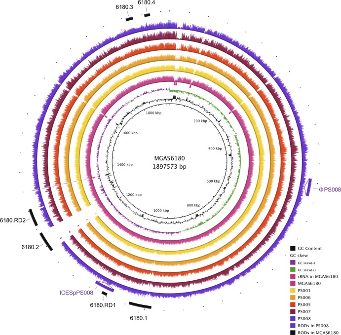 Fig 2