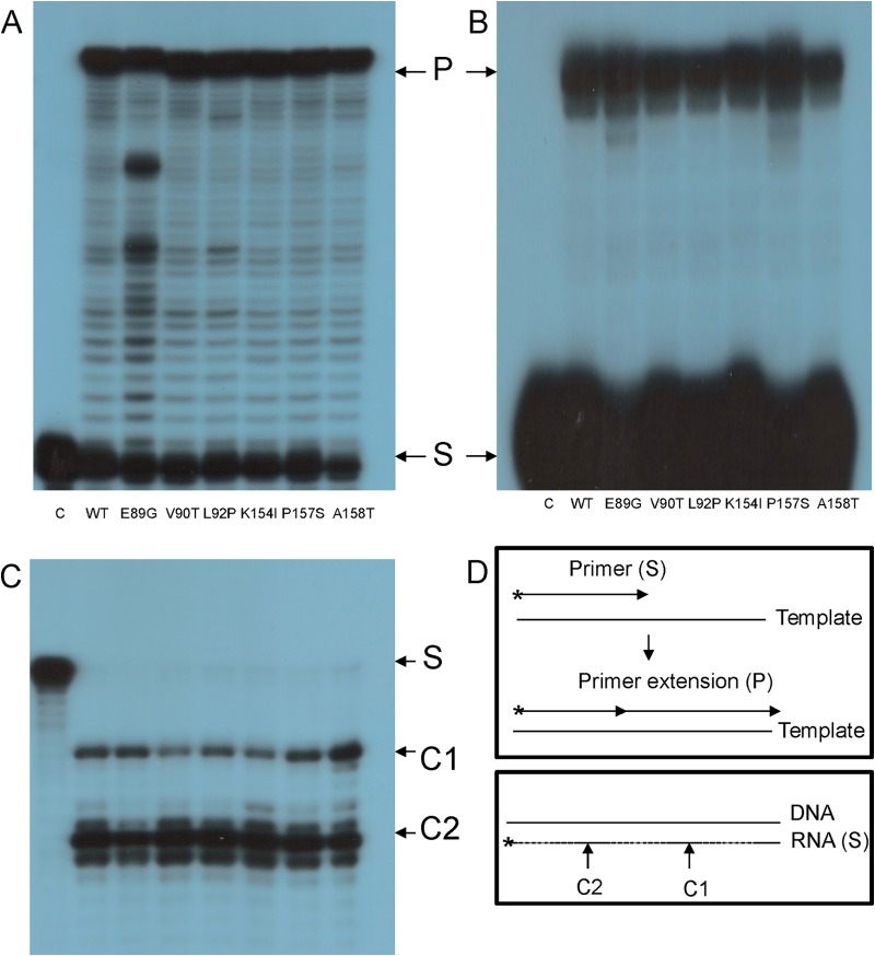 FIG 2