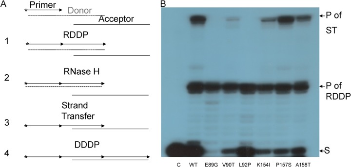 FIG 4