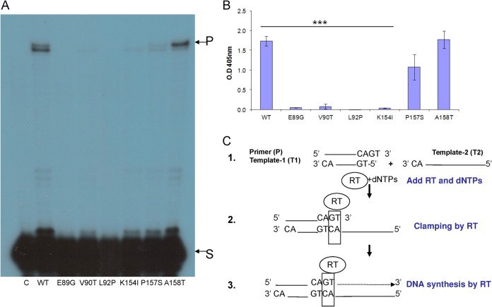 FIG 3