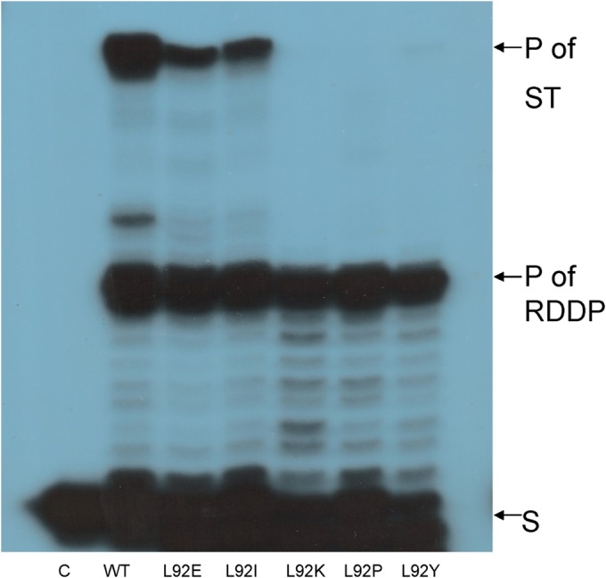 FIG 6