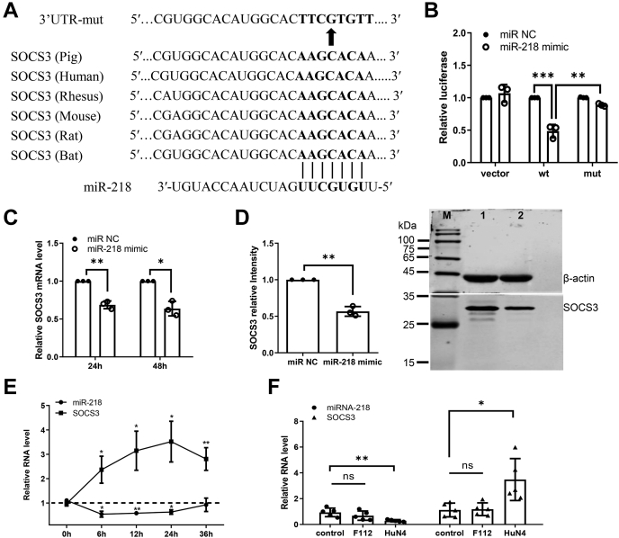 Figure 4