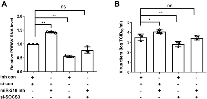 Figure 6