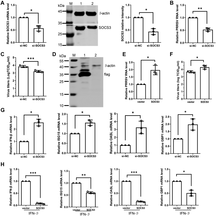 Figure 5