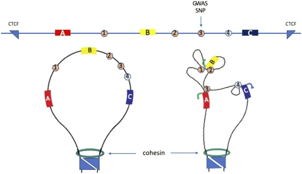 FIGURE 1