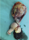 Figure 4: