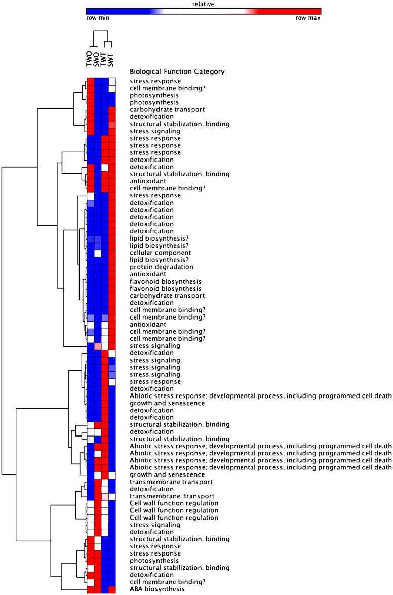 Fig 10