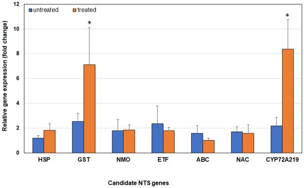 Fig 12