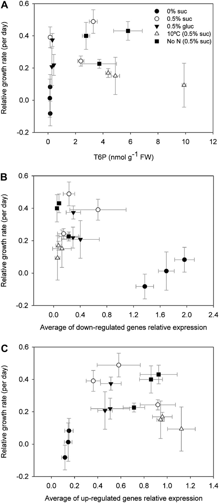 Figure 6.