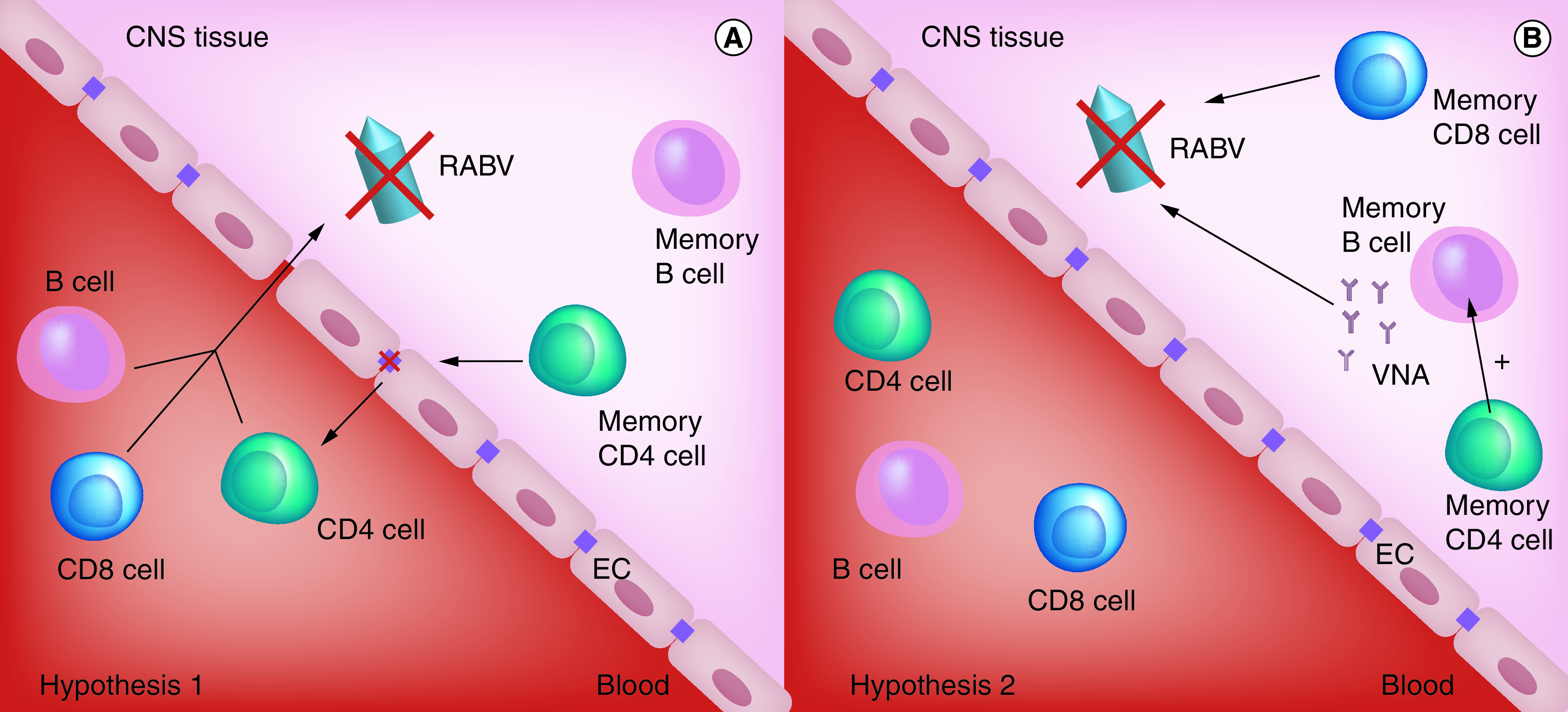 Figure 3. 