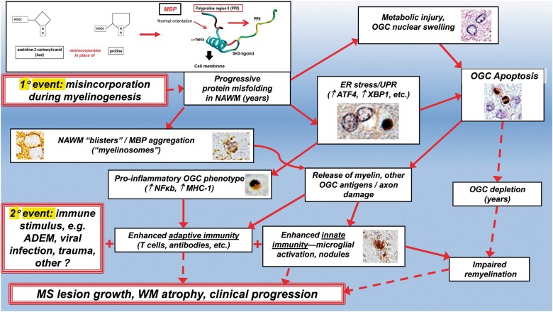 FIGURE 16.