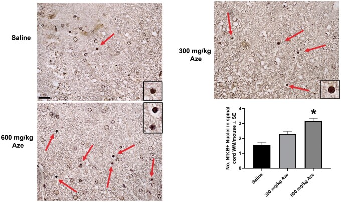 FIGURE 14.