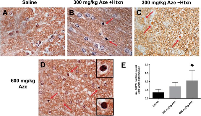 FIGURE 15.